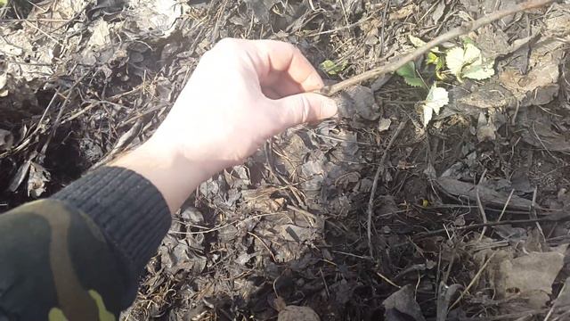 8a92d860b4e05fc3aed4b8b4c5e982b4