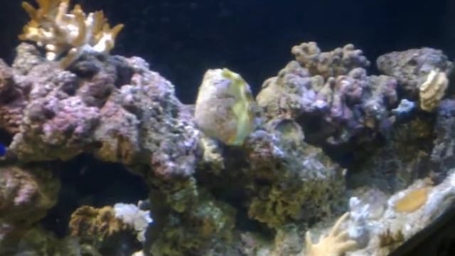 53ac83d46263b7517fde63549df9492c