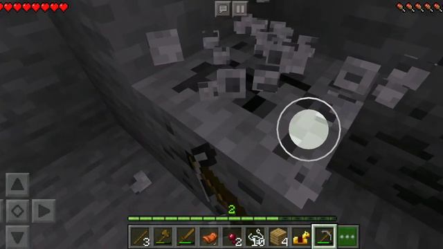 Выживание в