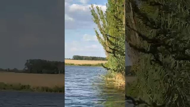 27e01d0f4df2bc878ef38dc145e292a3