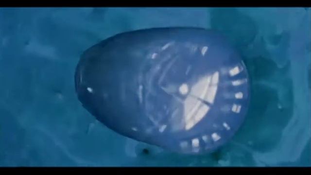 F10b01576988a8501e6ac71c53f52d97