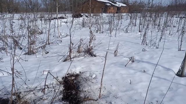 ДОЛГОЖДАННАЯ ВЕСНА!!!