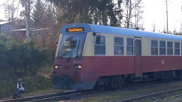 Trains  German HSB diesel 187-017-9  departing Hasselfelde 19223  1445