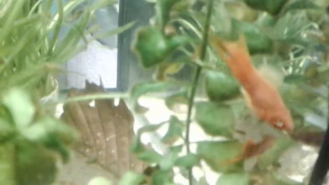 Bf844036deefeeb15fa6e56e12e20106