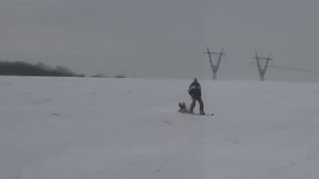 Тизер (ранняя модель)