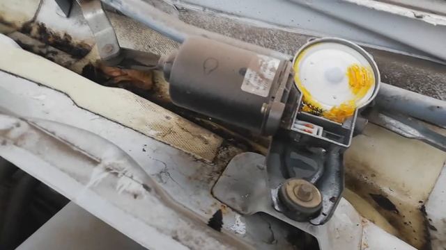 Под капотом с Профессионалами