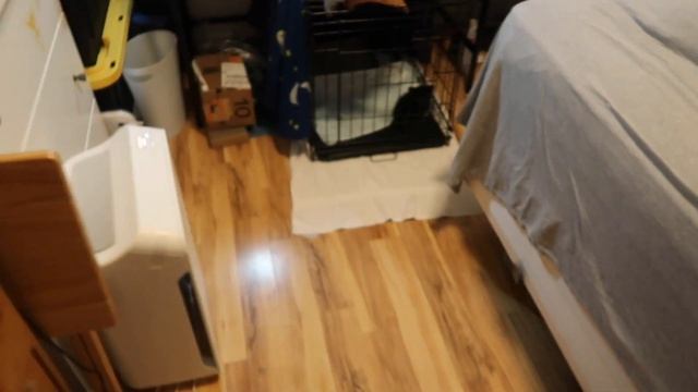 NONE Of My Clothes Fit Anymore | Kiki Updates & Weight Loss Journey | Ep 161