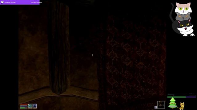 The Elder Scrolls: Morrowind - New Khajiit In Town - Part 33