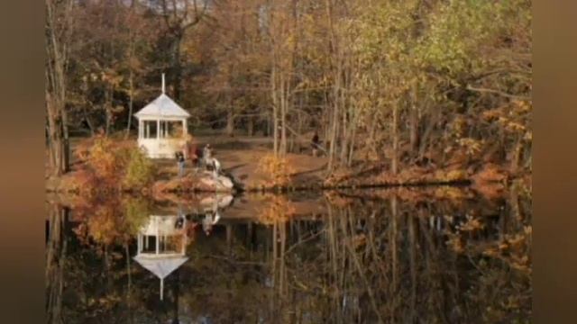 C36fe371818fd1dd76a7711deccf5448