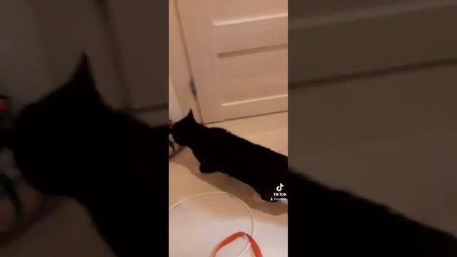 5131dc38581465b172ca37b79a0bd753