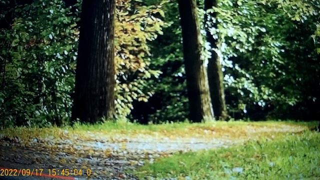 Сафар и уралочка - не важно когда снято видео , главное  содержание .Забывчивость ,   не в счёт