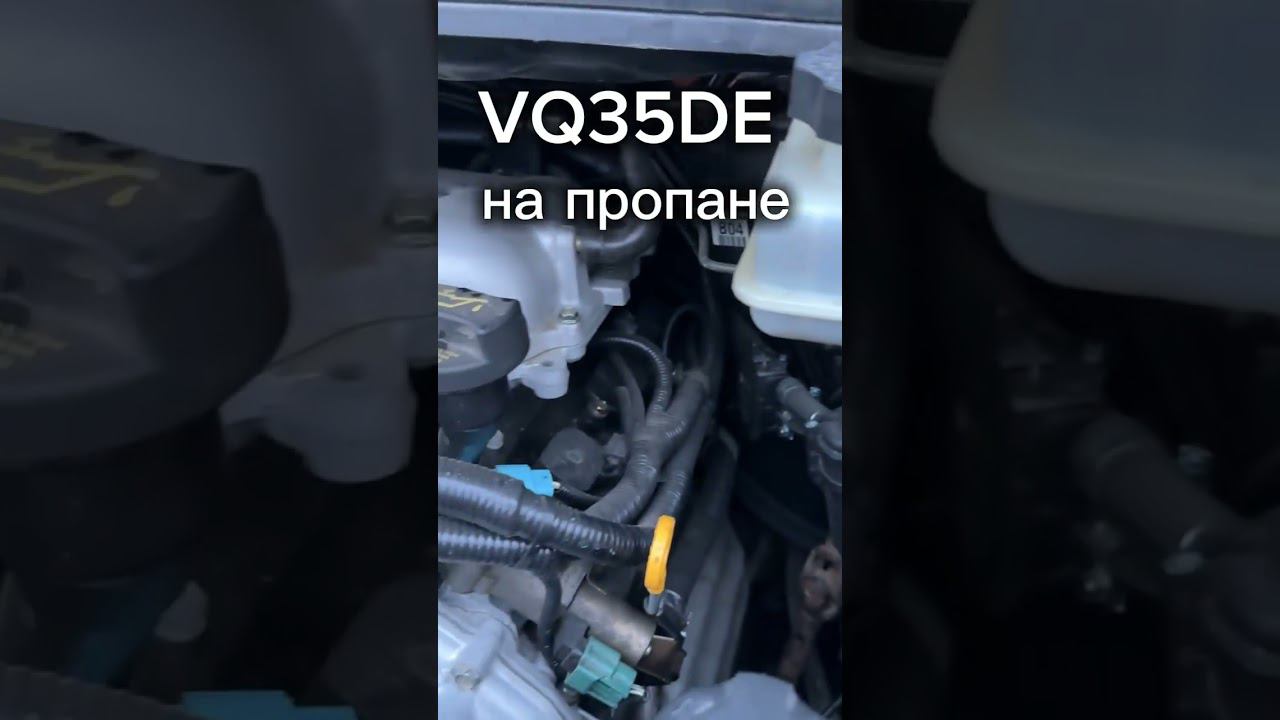 24 июня 2024 г.