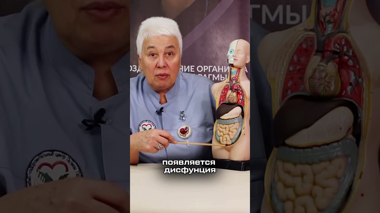 ПОЧЕМУ ПОЯВЛЯЮТСЯ ПРОБЛЕМЫ С ЖКТ, ПЕЧЕНЬЮ, С МОЧЕПОЛОВОЙ СИСТЕМОЙ?