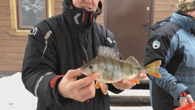 Зимняя блесна. Чемпионат Московской области 2023 часть 3