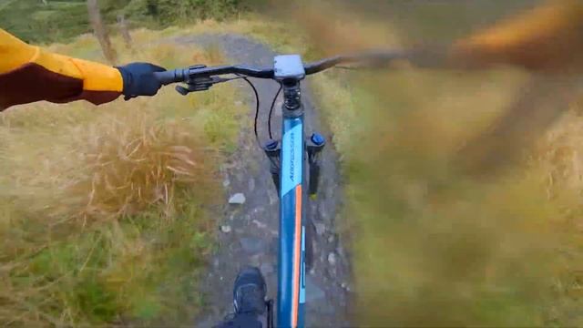 GT Aggressor Expert 29 Hardtail 2021  GoPro Run  CRC 