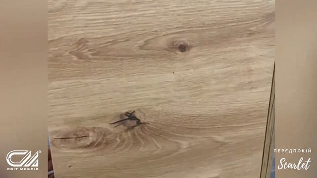 Прихожа Скарлет Біла