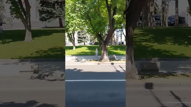 Улица А.С.Пушкина сегодня  6.06.23