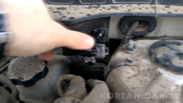 Кодерский стартовый курс