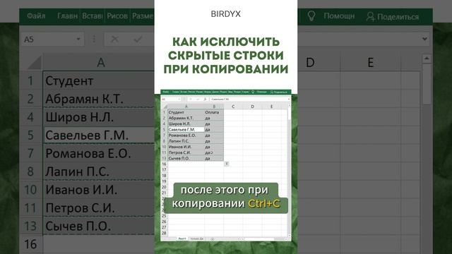 Birdyx. Excel и Google таблицы для бизнеса