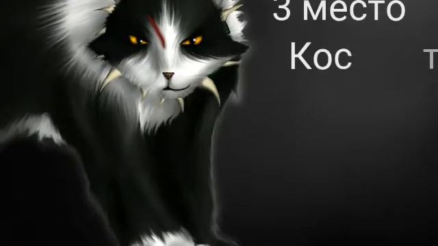 Самые сумасшедшие коты воители