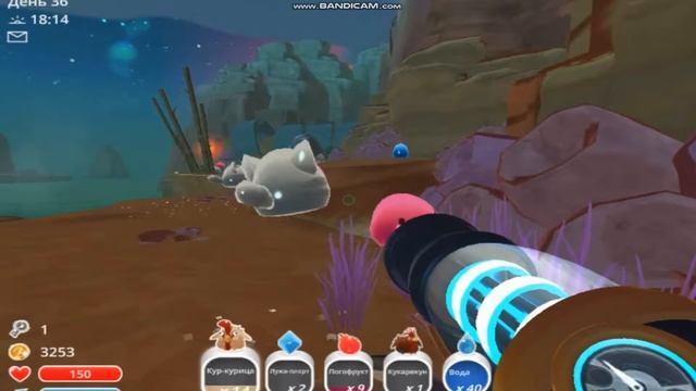 Slime Rancher секретная усатая локация и нашли фосфорного гордо