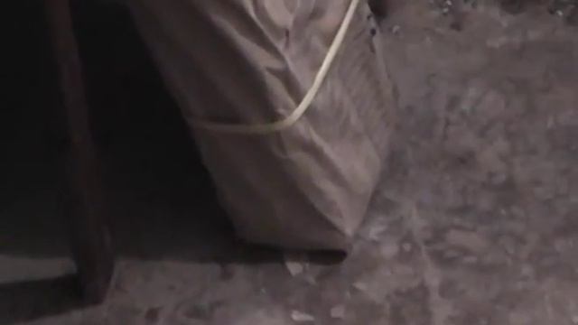 Криминальный краб