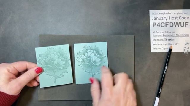 Calming Camellia Cards With 6