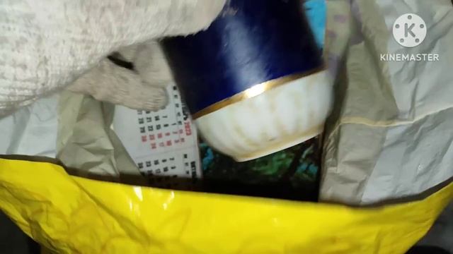 Обогащаюсь на мусорках Москвы. Большая чайная церемония.