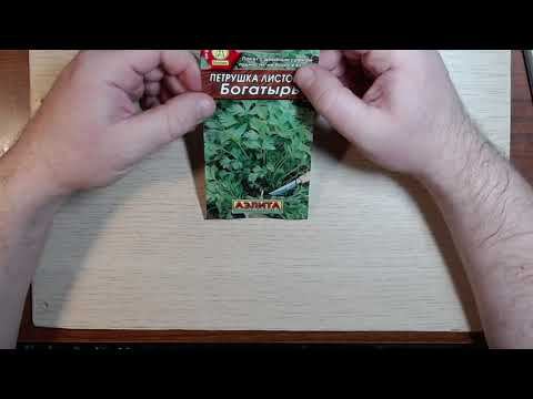 АЭЛИТА Петрушка Листовая Богатырь Обзор Распаковка