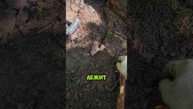 РАСКОПКИ с МЕТАЛЛОИСКАТЕЛЕМ😎🔥 #xpdeus2 #металлоискатель #поисковыймагнит #металлокоп