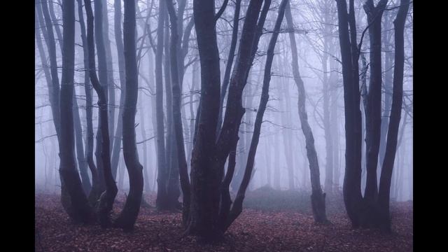 Дорогой дневник - Жадина  Slowed  Reverb 
