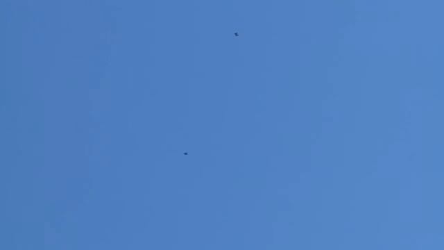 Прыжок без парашюта и удачное приземление Интересное, страшное и невероятное видео, явление