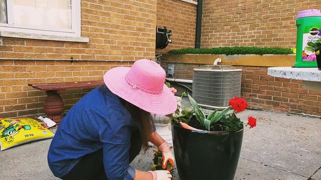 HOW TO PLANT FLOWERS IN POTS