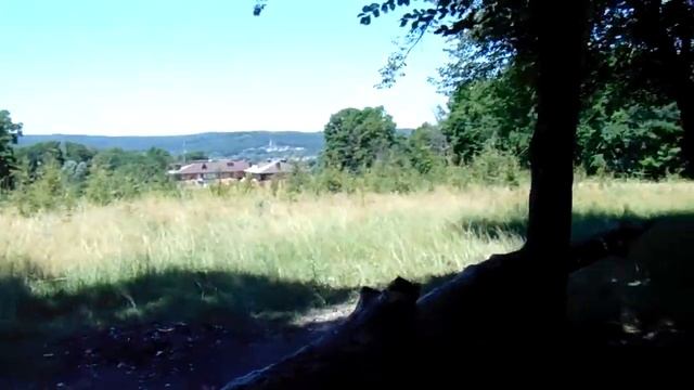 Тест камеры Sony H300 и прогулка по лесу.