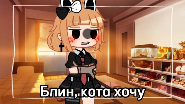 ❤️😸Котика хочу😸❤️[ идея из ТТ]