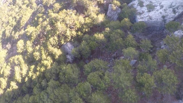 236428486851d5841c527ff05ad32752