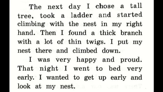 Home Reading: Beginner: Yulia Puchkova Nick and Pats Diary Chapter Nine: A Surprize for Nick