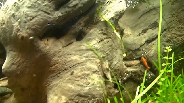 036be55d2cf718ab7fff6908aefb9c47