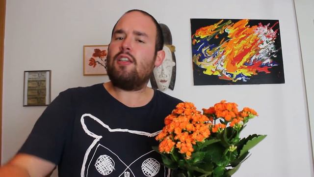 Ohne Hut: Flammendes Käthchen Im Profil