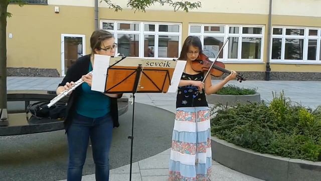 Duet For Flute And Violin - M.J. Pacheco