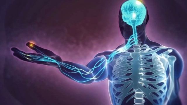 Не кормите болезни! Онкологи молчат, что творит чеснок. Это должен знать каждый.