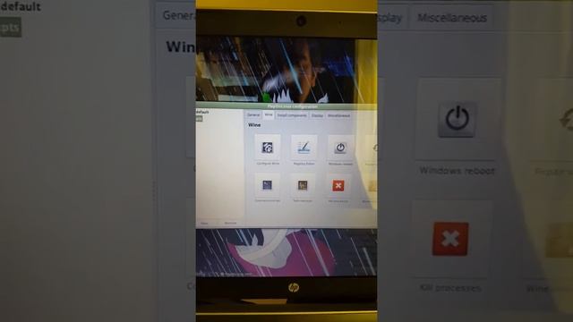 Paint Tool Sai On Linux Mint