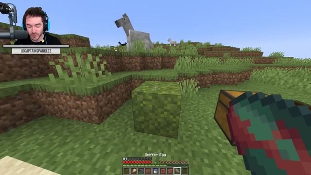 Minecraft: The New Sniffer Egg