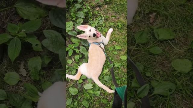 Видеовизитка Новожиловой О. для проекта «Мы рядом»