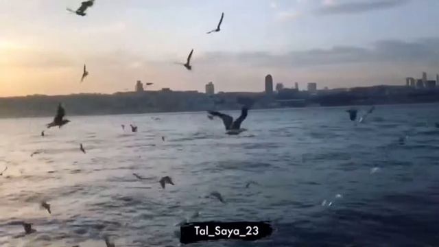 46472b60939ac3e83235e8663ce522ce