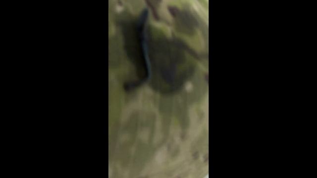 Серебро двух государств!