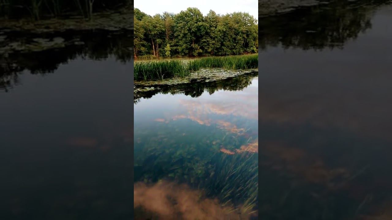 Русская природа