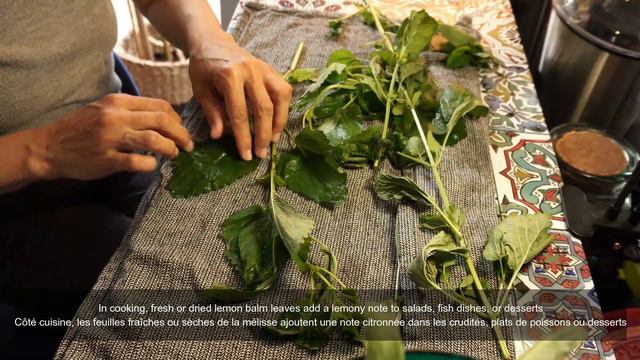 9a2308bdfcbab15a188a4486b073ec6a