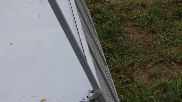 Джоя первый забег (курсинг)