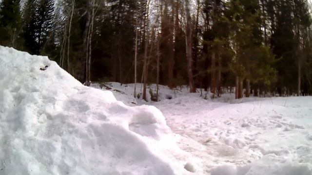 B96f1020302a4a32836d05ebc2537fbd